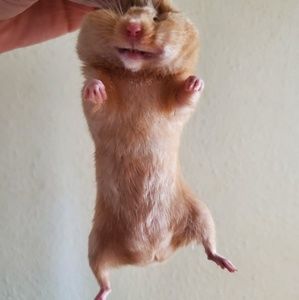 Meet your Posher, Tim